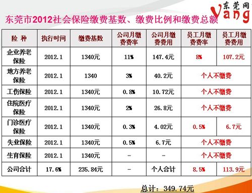 个人全额购买养老保险