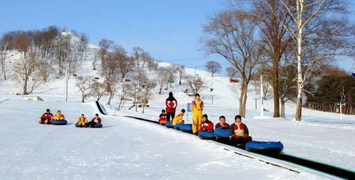 滑雪场保险怎么赔付