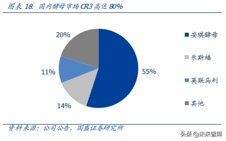 亿安琪酵母市值缩水背后的分析与前景展望