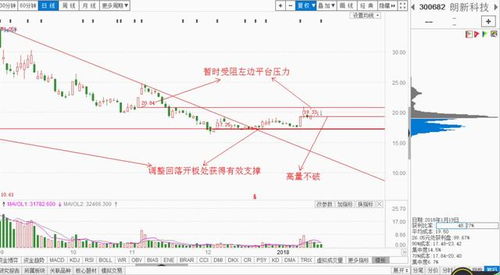 黄金概念股开盘大涨中金黄金续创年内新高