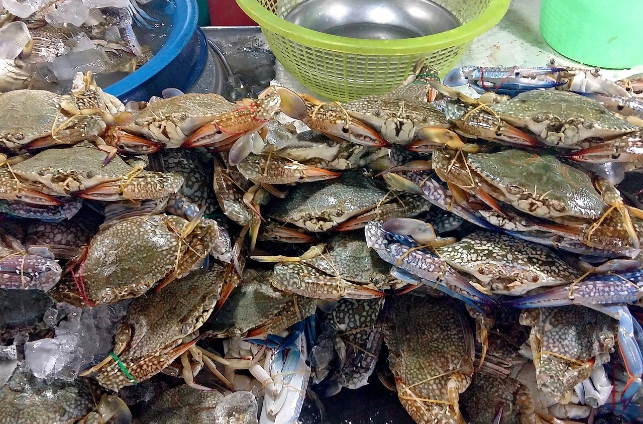 雁西湖景区美食