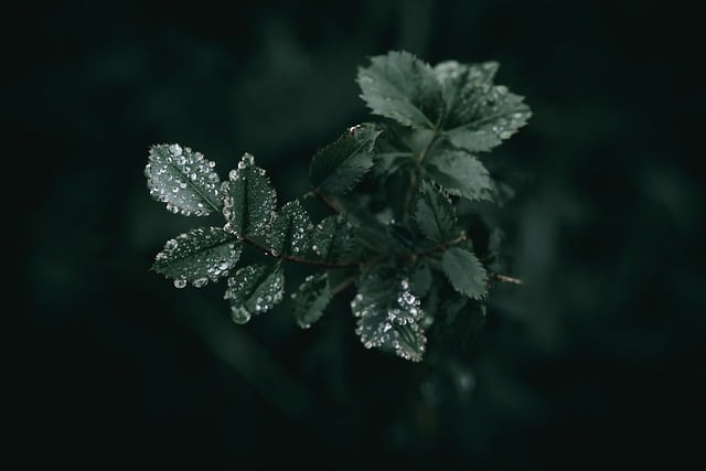 滑雪胜地因缺雪被迫关闭_银行前三季度业绩受拖累