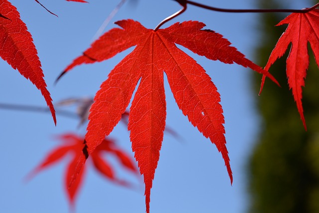 博通目前未评估对英特尔发出要约_日本首相仍想谈和平协议